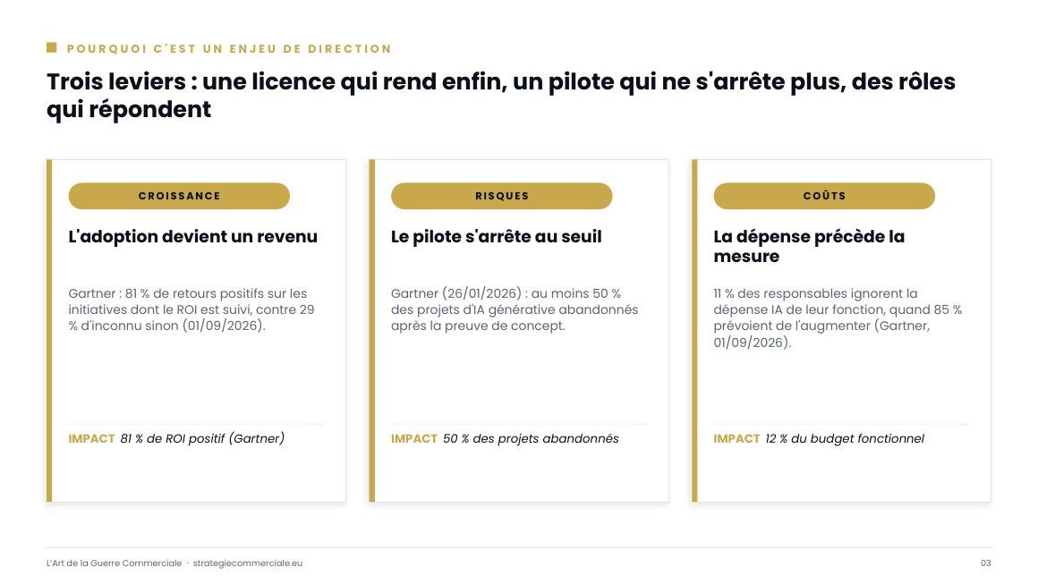 Slide 3 sur 9 — présentation stratégique